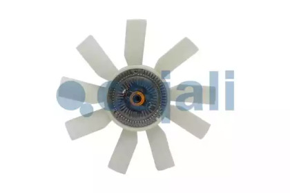 cojali 8124145