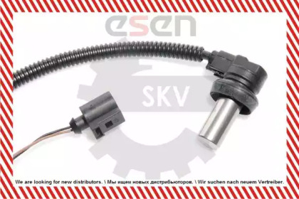 esen skv 06skv009