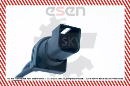 esen skv 06skv274