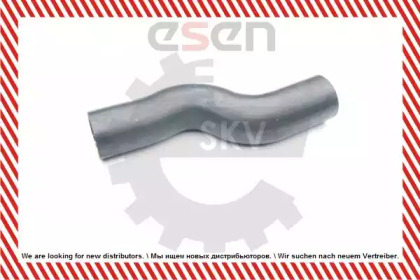 esen skv 24skv064