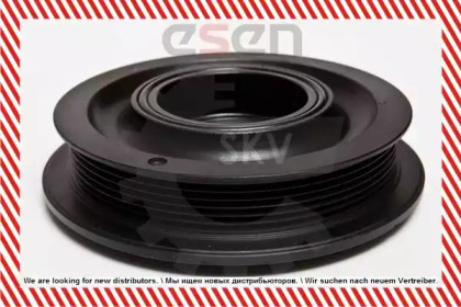 esen skv 95skv302