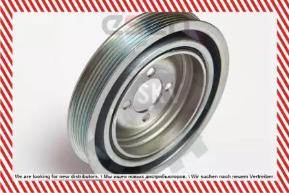 esen skv 95skv312