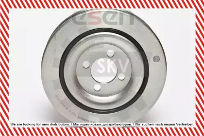 esen skv 95skv312