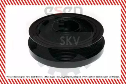 esen skv 95skv317