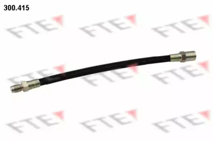 FTE 300.415