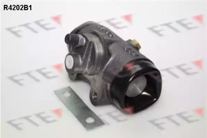 FTE R4202B1