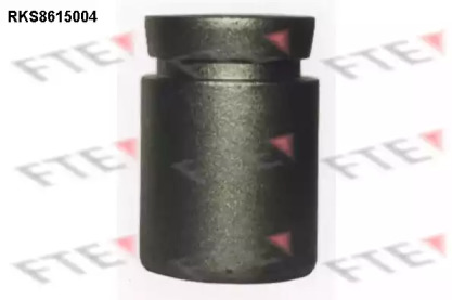 FTE RKS8615004 FTE RKS8615004