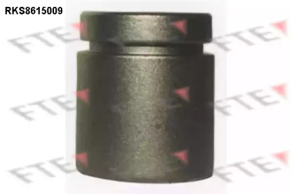 FTE RKS8615009 FTE RKS8615009