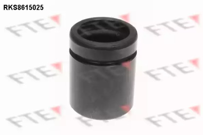 FTE RKS8615025 FTE RKS8615025