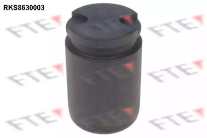 FTE RKS8630003 FTE RKS8630003
