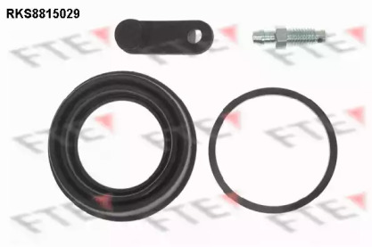 FTE RKS8815029