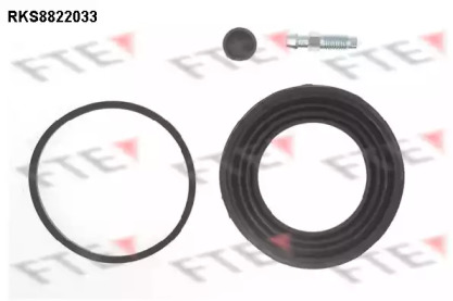FTE RKS8822033