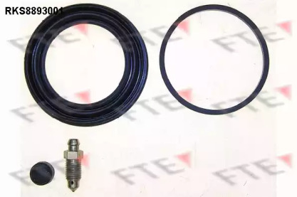 FTE RKS8893001
