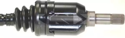 lobro 302823