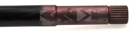 lobro 302881