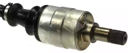 lobro 302882
