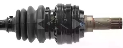 lobro 301500