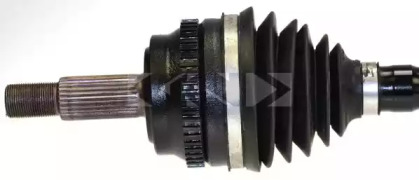 lobro 303507