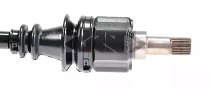 lobro 302916