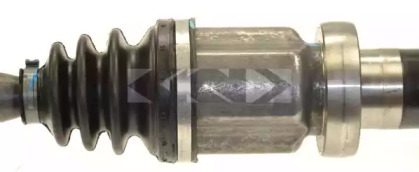 lobro 304538