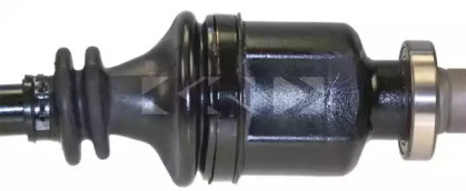lobro 304565