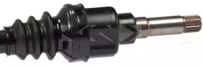lobro 304571