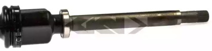 lobro 304856