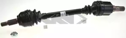 LÖBRO 305254
