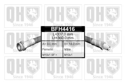 QUINTON HAZELL BFH4416