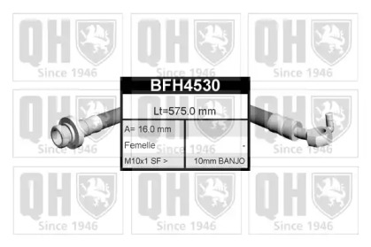 QUINTON HAZELL BFH4530