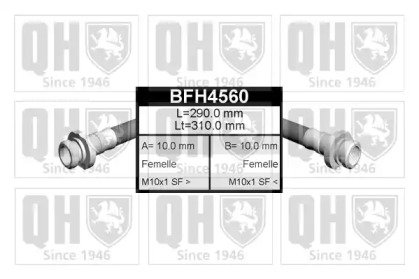 QUINTON HAZELL BFH4560