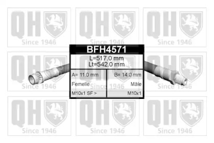 QUINTON HAZELL BFH4571