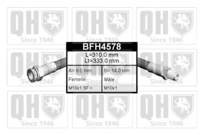 QUINTON HAZELL BFH4578