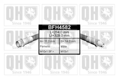 QUINTON HAZELL BFH4582