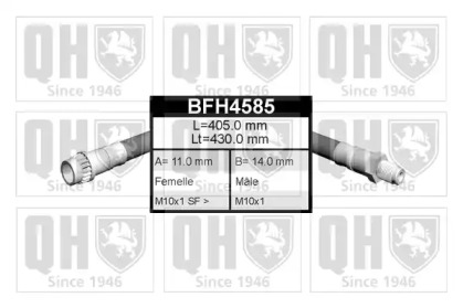 QUINTON HAZELL BFH4585