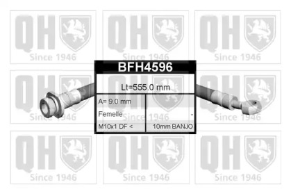 QUINTON HAZELL BFH4596