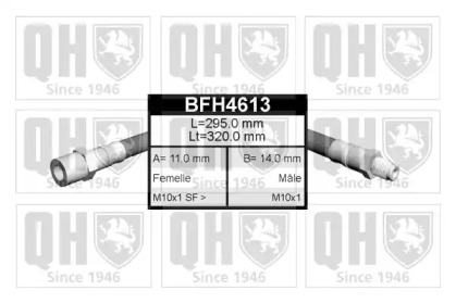 QUINTON HAZELL BFH4613