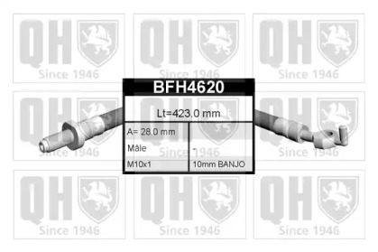 QUINTON HAZELL BFH4620