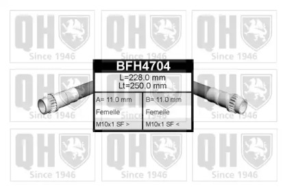 QUINTON HAZELL BFH4704