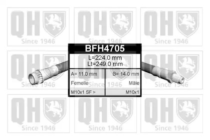 QUINTON HAZELL BFH4705