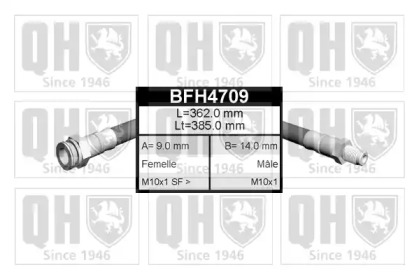 QUINTON HAZELL BFH4709