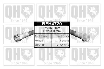 QUINTON HAZELL BFH4720