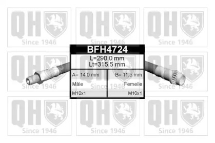 QUINTON HAZELL BFH4724