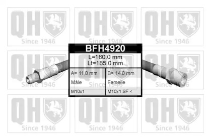 QUINTON HAZELL BFH4920