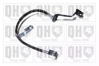 QUINTON HAZELL BFH4982
