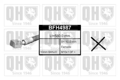 QUINTON HAZELL BFH4987