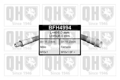 QUINTON HAZELL BFH4994