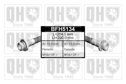 QUINTON HAZELL BFH5134