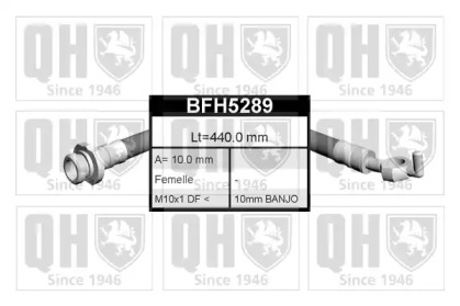 QUINTON HAZELL BFH5289