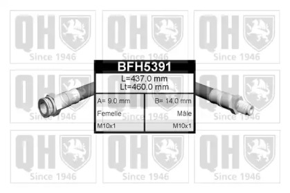 QUINTON HAZELL BFH5391